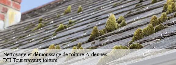 Nettoyage et démoussage de toiture Ardennes 