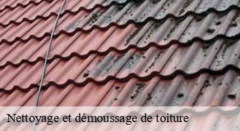 Nettoyage et démoussage de toiture Ardennes 