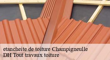 etancheite de toiture  08250