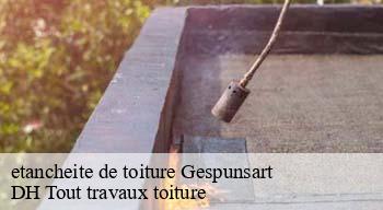 etancheite de toiture  08700