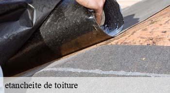 etancheite de toiture  08400