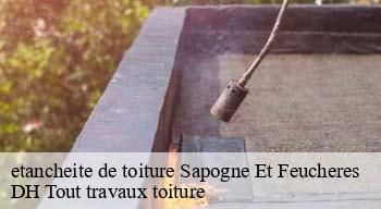 etancheite de toiture  08160