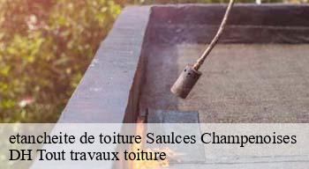 etancheite de toiture  08130