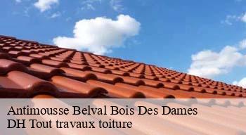 Antimousse 08240