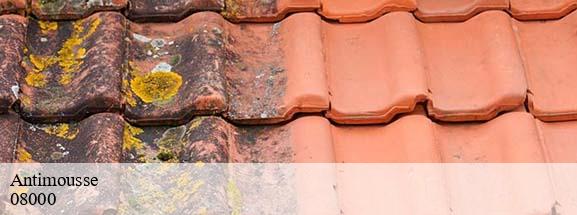 Antimousse  charleville-mezieres-08000 DH Tout travaux toiture