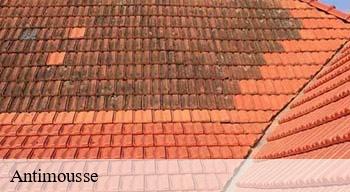 Antimousse  08350