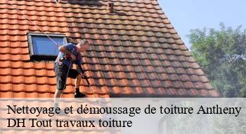 Nettoyage et démoussage de toiture  08260