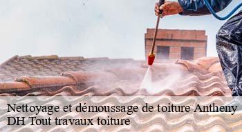 Nettoyage et démoussage de toiture  08260