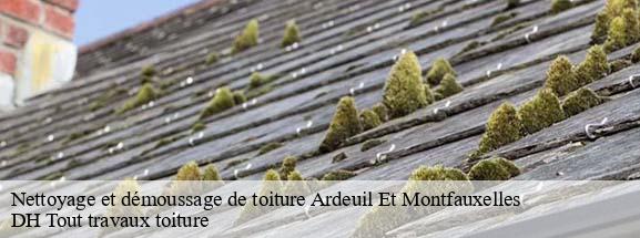 Nettoyage et démoussage de toiture  08400