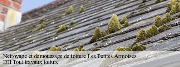 Nettoyage et démoussage de toiture  08390