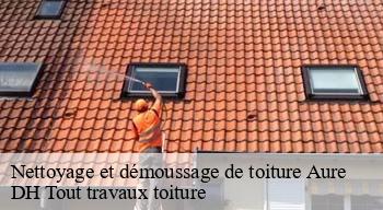 Nettoyage et démoussage de toiture  08400