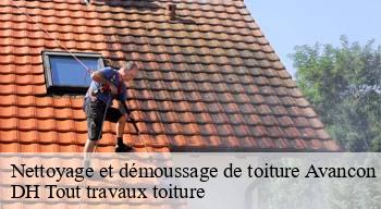 Nettoyage et démoussage de toiture  08300