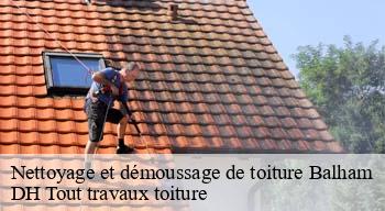 Nettoyage et démoussage de toiture  08190