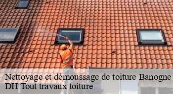 Nettoyage et démoussage de toiture 08220