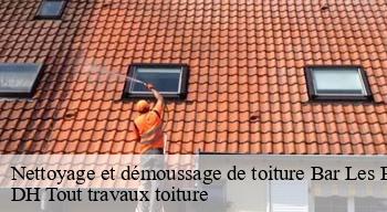 Nettoyage et démoussage de toiture 08240