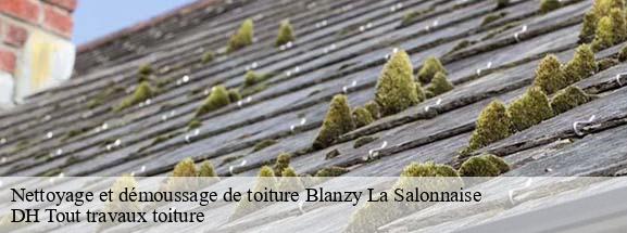 Nettoyage et démoussage de toiture  08190