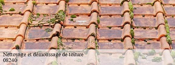 Nettoyage et démoussage de toiture  boult-aux-bois-08240 DH Tout travaux toiture