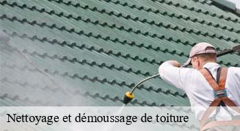 Nettoyage et démoussage de toiture  08120