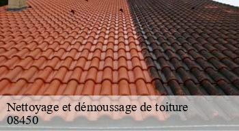 Nettoyage et démoussage de toiture 08450