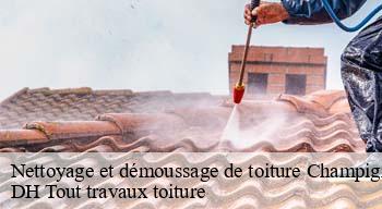 Nettoyage et démoussage de toiture 08430