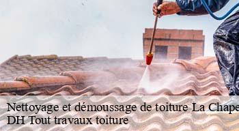 Nettoyage et démoussage de toiture  08200