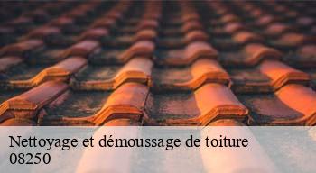 Nettoyage et démoussage de toiture  08250