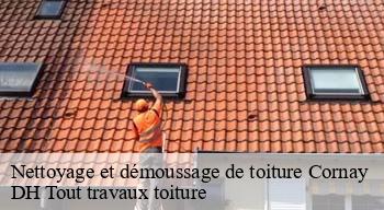 Nettoyage et démoussage de toiture 08250