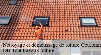 Nettoyage et démoussage de toiture 08130