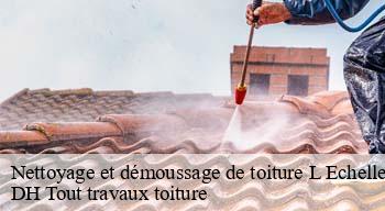 Nettoyage et démoussage de toiture  08150