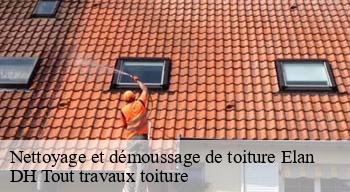 Nettoyage et démoussage de toiture  08160