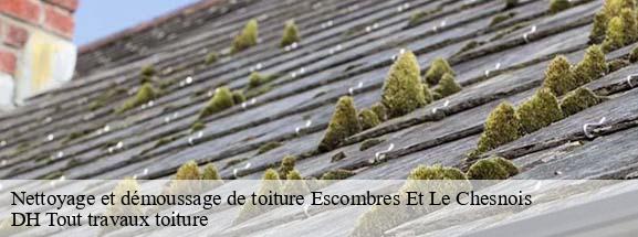 Nettoyage et démoussage de toiture  08110