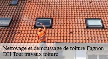 Nettoyage et démoussage de toiture  08090