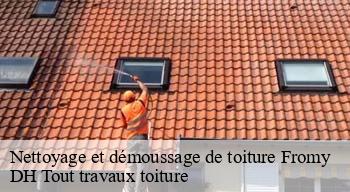 Nettoyage et démoussage de toiture  08370