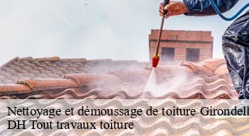 Nettoyage et démoussage de toiture  08260