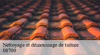 Nettoyage et démoussage de toiture  08700