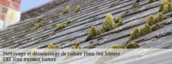 Nettoyage et démoussage de toiture  08600