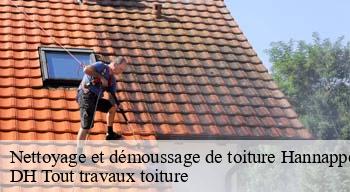 Nettoyage et démoussage de toiture  08290