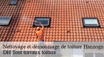 Nettoyage et démoussage de toiture 08160