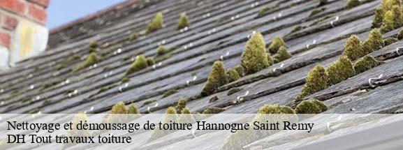 Nettoyage et démoussage de toiture  08220