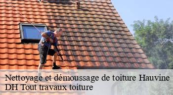 Nettoyage et démoussage de toiture  08310