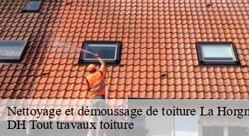 Nettoyage et démoussage de toiture 08430