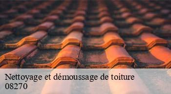 Nettoyage et démoussage de toiture 08270