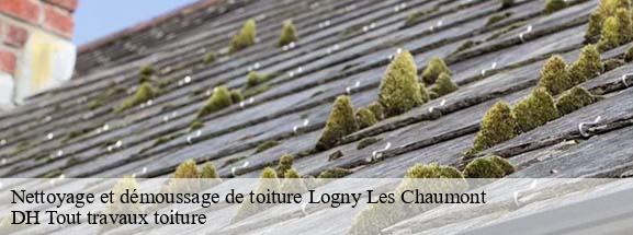 Nettoyage et démoussage de toiture  08220