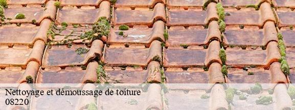 Nettoyage et démoussage de toiture  logny-les-chaumont-08220 DH Tout travaux toiture