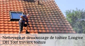 Nettoyage et démoussage de toiture 08400