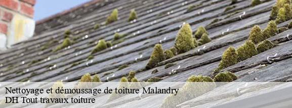 Nettoyage et démoussage de toiture  08370