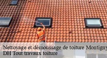 Nettoyage et démoussage de toiture  08170