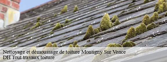 Nettoyage et démoussage de toiture  08430