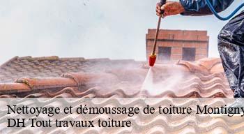 Nettoyage et démoussage de toiture  08430