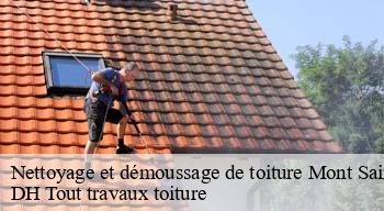 Nettoyage et démoussage de toiture 08310